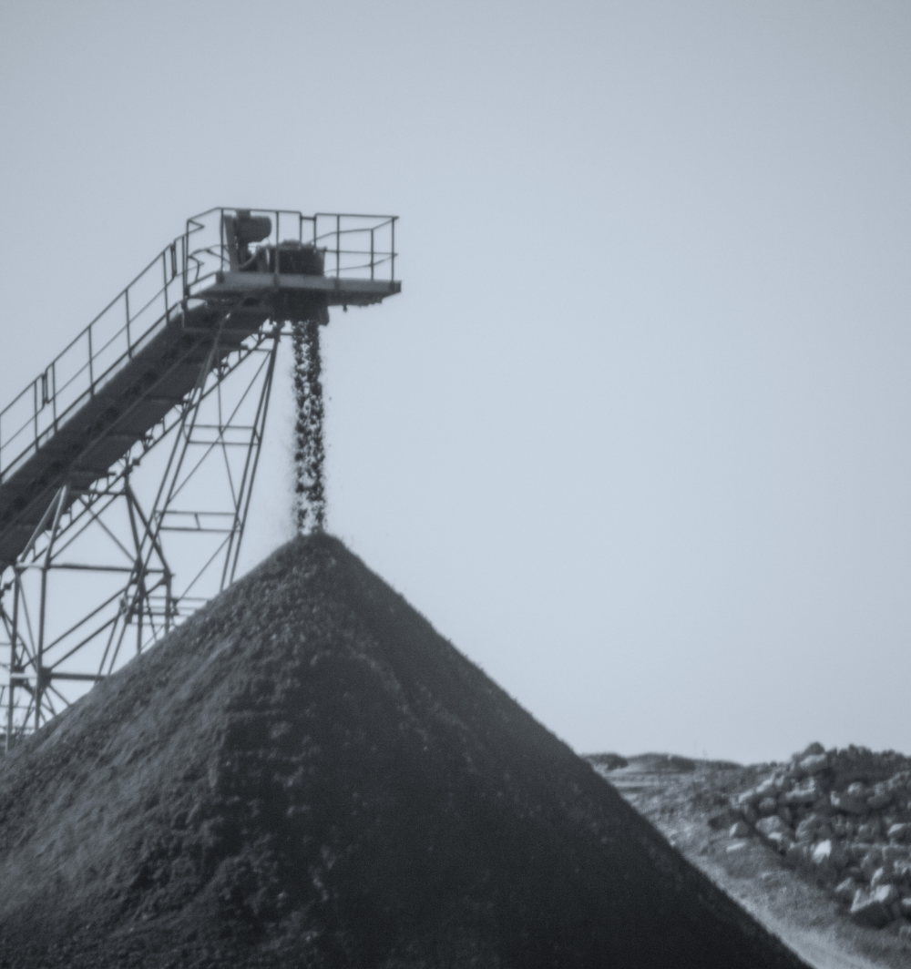 India’s leading diversified natural-resources company 1 India’s leading diversified natural-resources company